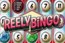 Miami Dice Casino - online casinos